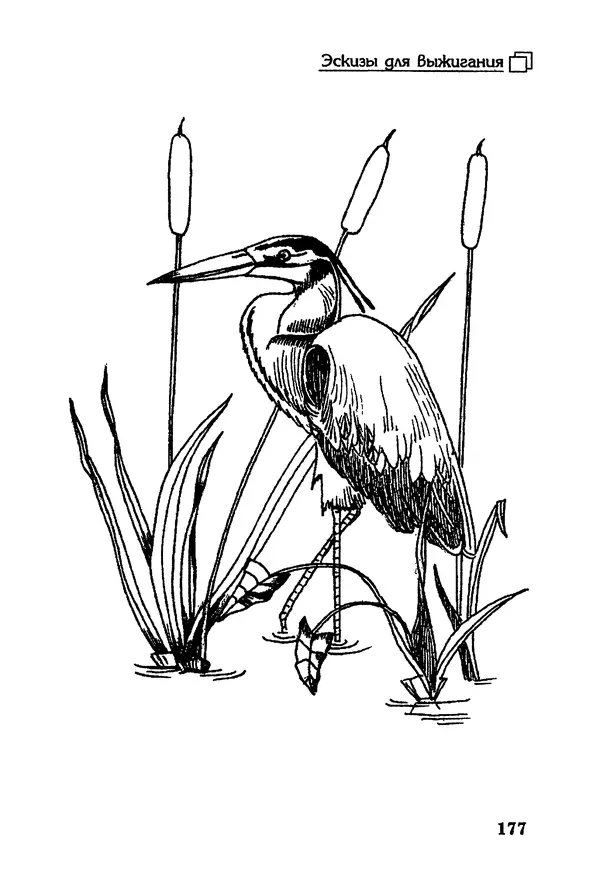 Владимир Панченко - Выжигание по дереву - Страница № 177