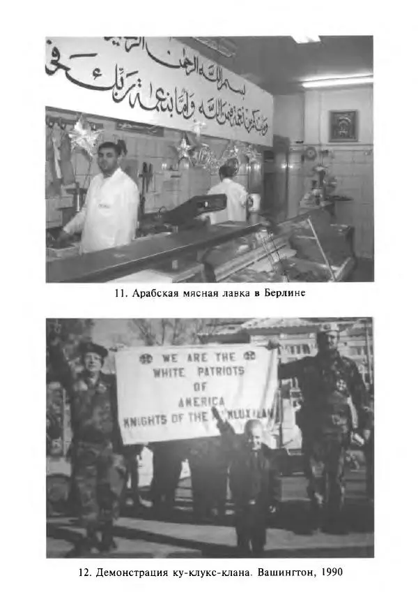 Виктор Шнирельман - «Порог толерантности». Идеология и практика нового расизма. Том 1 - Страница № 292