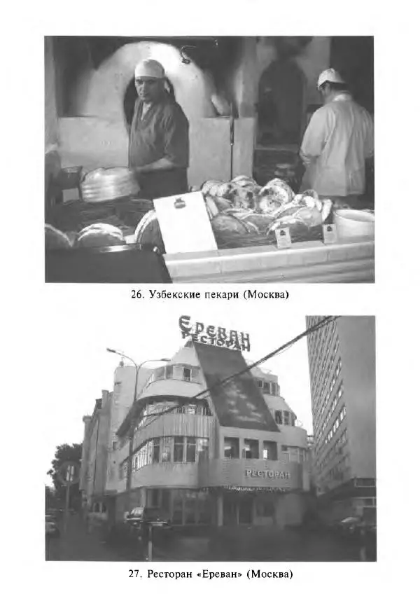 Виктор Шнирельман - «Порог толерантности». Идеология и практика нового расизма. Том 1 - Страница № 300