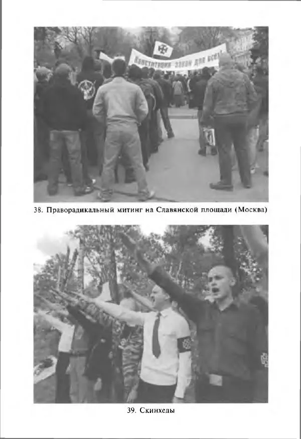 Виктор Шнирельман - «Порог толерантности». Идеология и практика нового расизма. Том 1 - Страница № 306