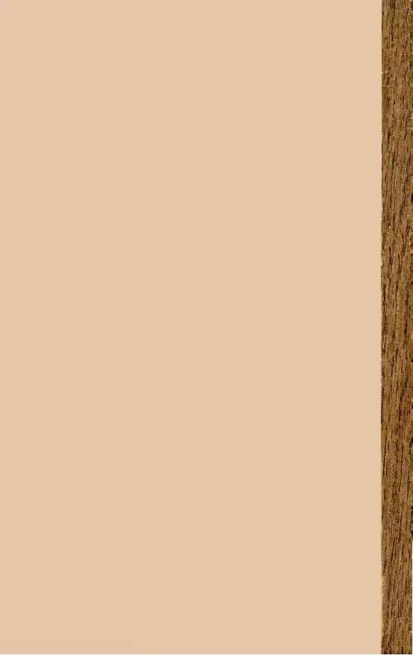 К. Носиловъ - У вогуловъ. Очерки и наброски - Страница № 266