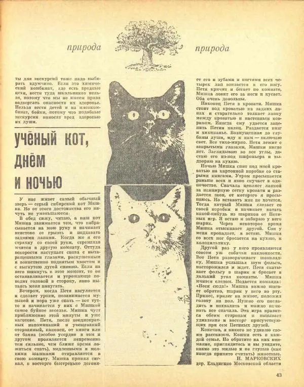  журнал «Семья и школа» - Семья и школа 1972 №06 - Страница № 47