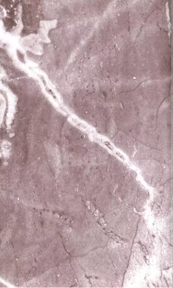 Владимир Антонов-Овсеенко - Записки о Гражданской войне 1919 Книга третья (том 4) - Страница № 3