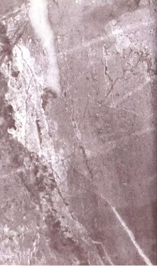 Владимир Антонов-Овсеенко - Записки о Гражданской войне 1919 Книга третья (том 4) - Страница № 618