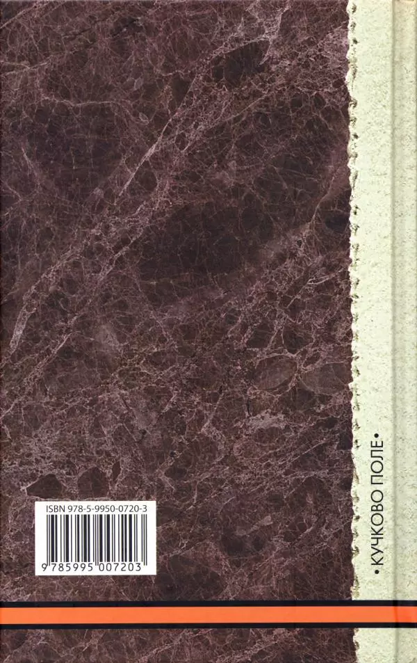 Владимир Антонов-Овсеенко - Записки о Гражданской войне 1919 Книга третья (том 4) - Страница № 619