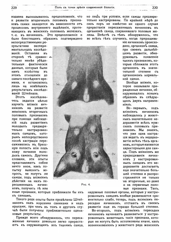  журнал «Природа» - Природа 1913 №03 - Страница № 33