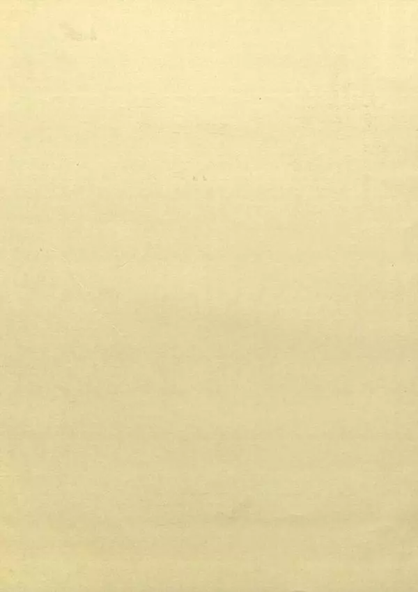 Эспер Ухтомский - Путешествие на Востокъ его императорскаго высочества государя наследника цесаревича 1890-1891. Том 3 - Страница № 2