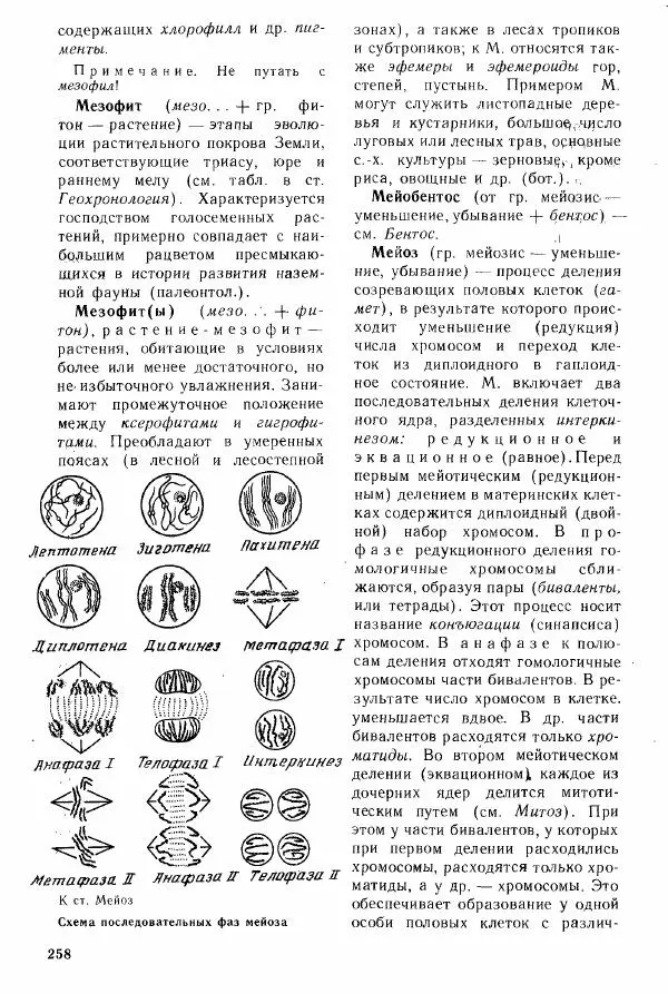 Николай Реймерс - Популярный биологический словарь - Страница № 259