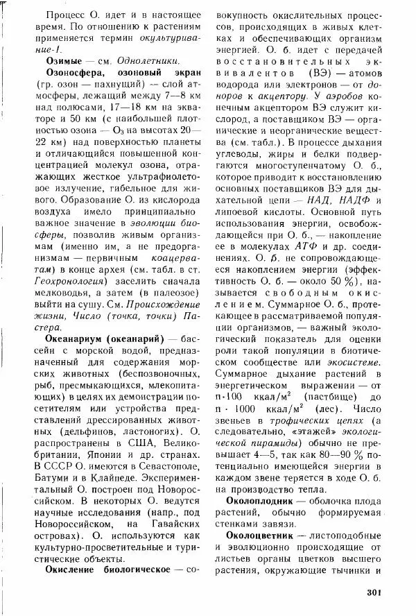 Николай Реймерс - Популярный биологический словарь - Страница № 302