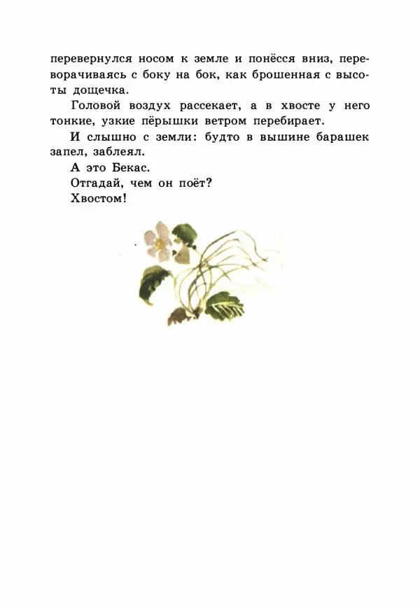 Виталий Бианки - Рассказы и сказки - Страница № 21