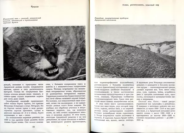  Коллектив авторов - Армения - Страница № 32