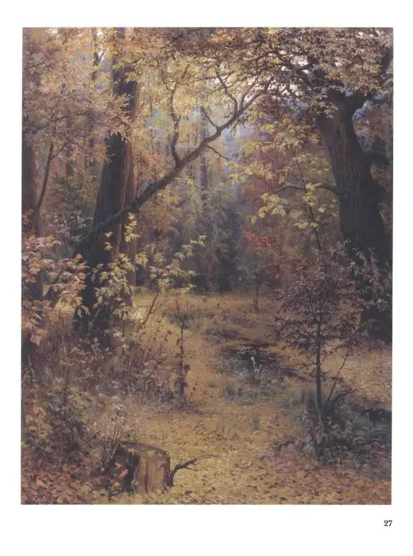 Елена Матвеева - История русской живописи. Том 6. 70-е годы XIX века - Страница № 28