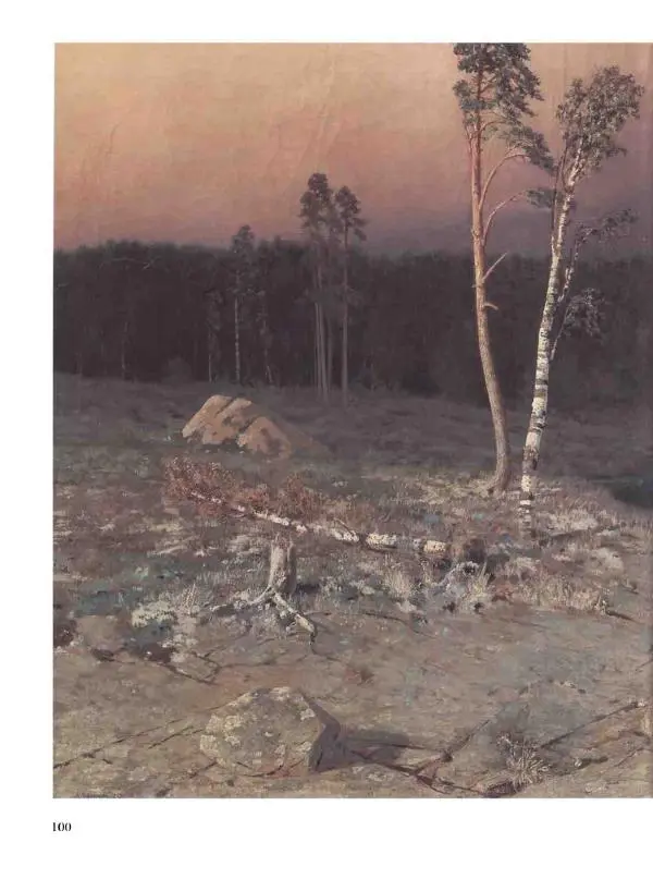 Елена Матвеева - История русской живописи. Том 6. 70-е годы XIX века - Страница № 101