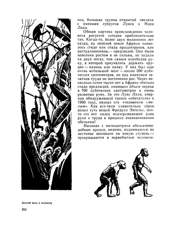 Михаил Васильев - Материя - Страница № 263