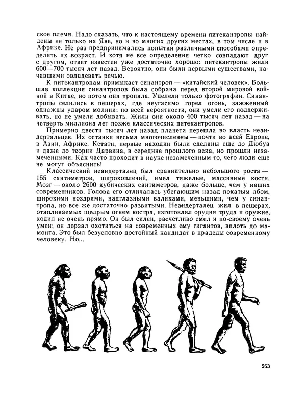 Михаил Васильев - Материя - Страница № 264