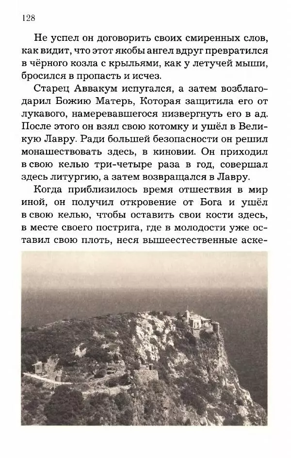 старец Паисий Святогорец - Отцы-святогорцы и святогорские истории - Страница № 128