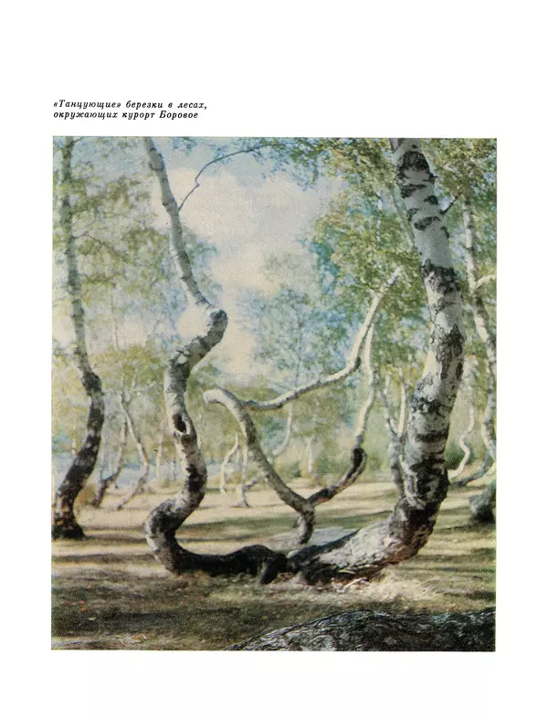  Коллектив авторов - Казахстан - Страница № 237