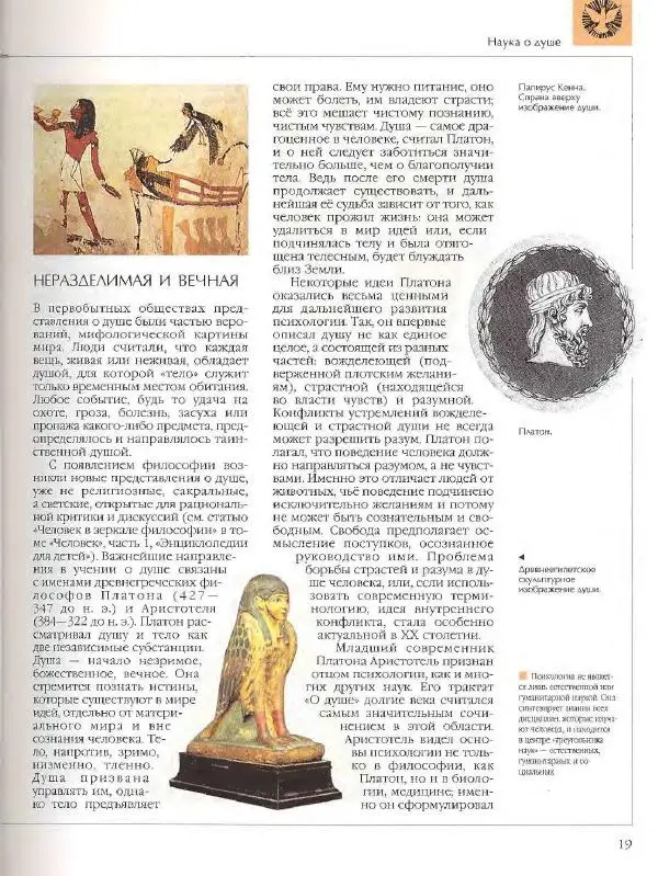  Энциклопедия для детей Аванта+ - Энциклопедия для детей. Том 18, часть 2. Человек - Страница № 19