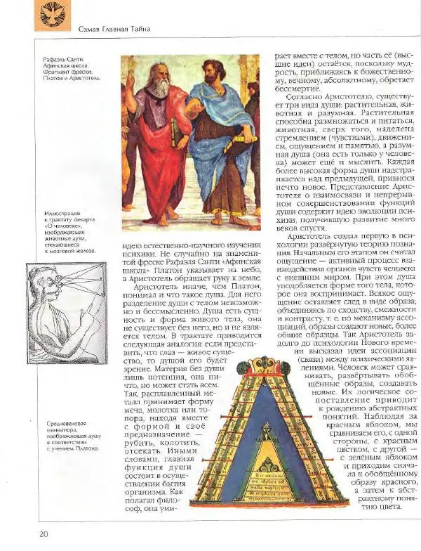  Энциклопедия для детей Аванта+ - Энциклопедия для детей. Том 18, часть 2. Человек - Страница № 20