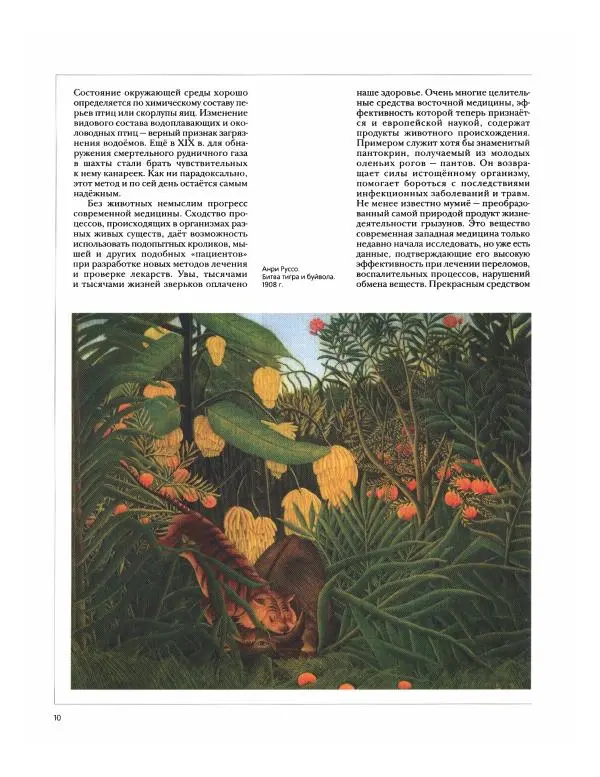  Энциклопедия для детей Аванта+ - Энциклопедия для детей. Том дополнительный. Птицы и звери - Страница № 12