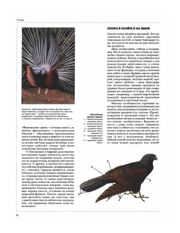  Энциклопедия для детей Аванта+ -</p> --