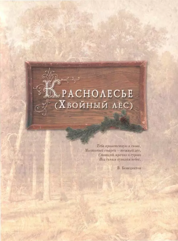 Дмитрий Кайгородов - Беседы о русском лесе - Страница № 9