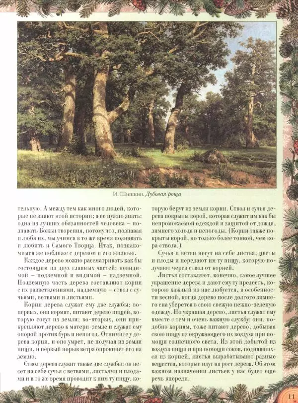 Дмитрий Кайгородов - Беседы о русском лесе - Страница № 11