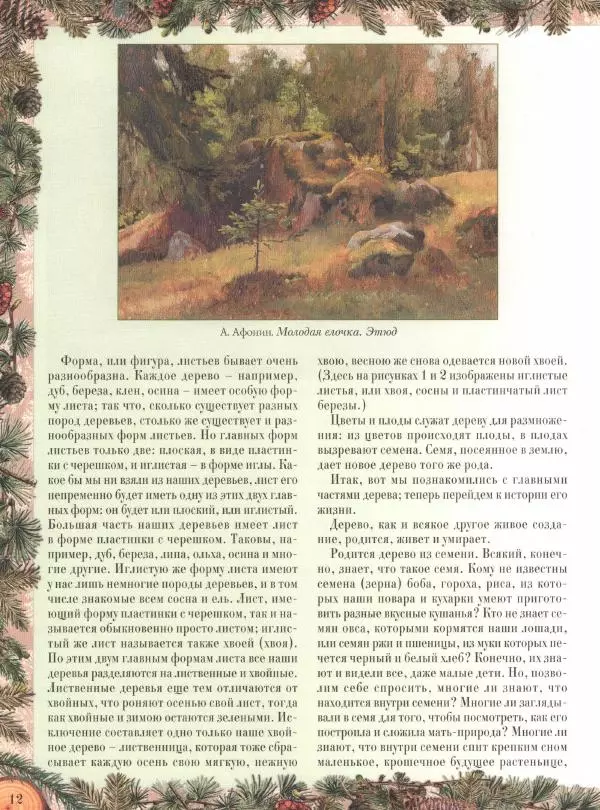 Дмитрий Кайгородов - Беседы о русском лесе - Страница № 12