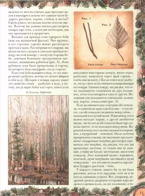 Дмитрий Кайгородов - Беседы о русском лесе - Страница № 13