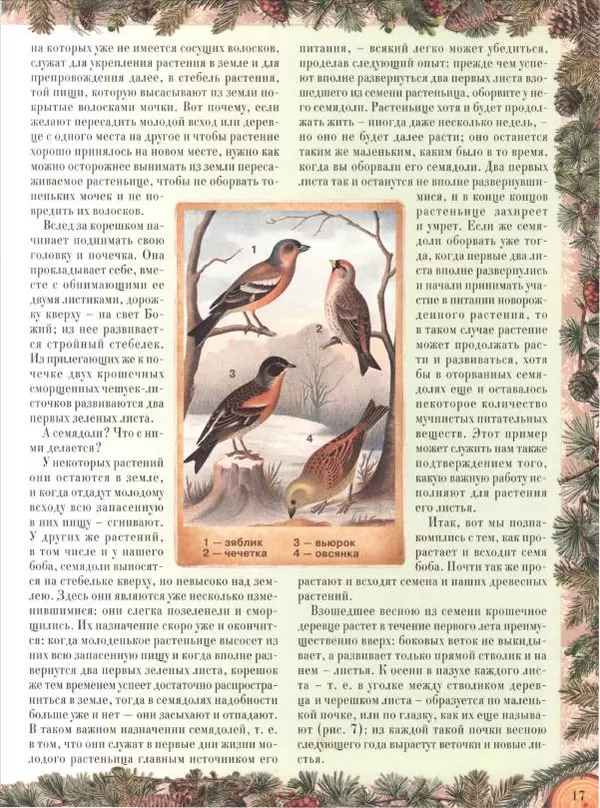 Дмитрий Кайгородов - Беседы о русском лесе - Страница № 17