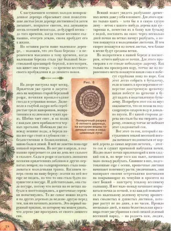 Дмитрий Кайгородов - Беседы о русском лесе - Страница № 18