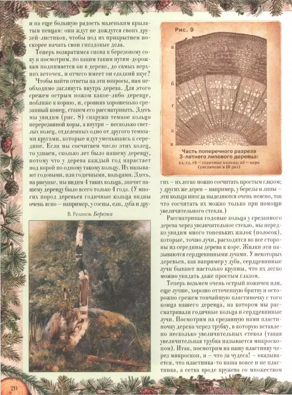 Дмитрий Кайгородов - Беседы о русском лесе - Страница № 20