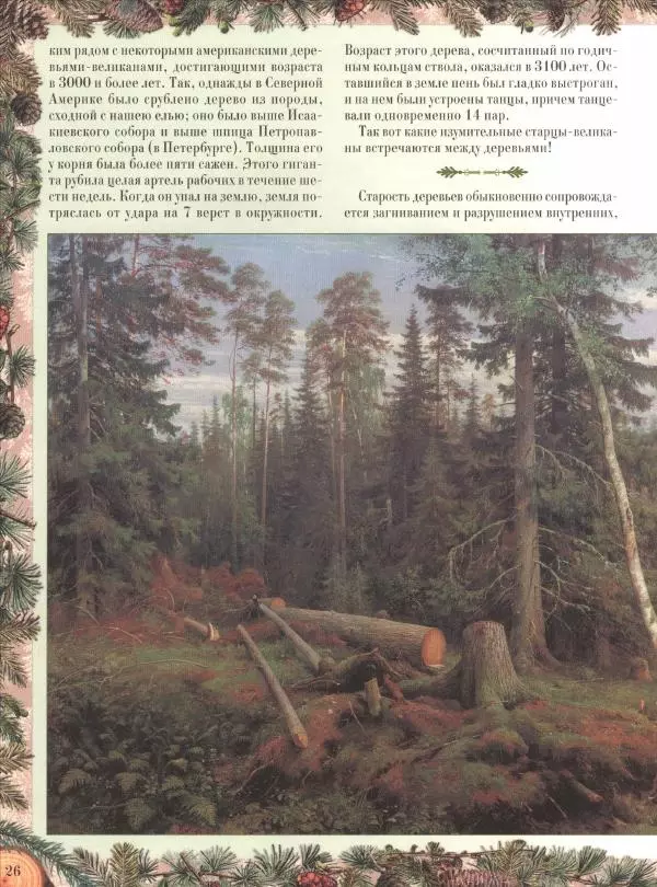 Дмитрий Кайгородов - Беседы о русском лесе - Страница № 26