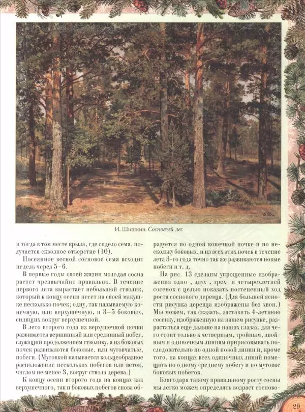 Дмитрий Кайгородов - Беседы о русском лесе - Страница № 29