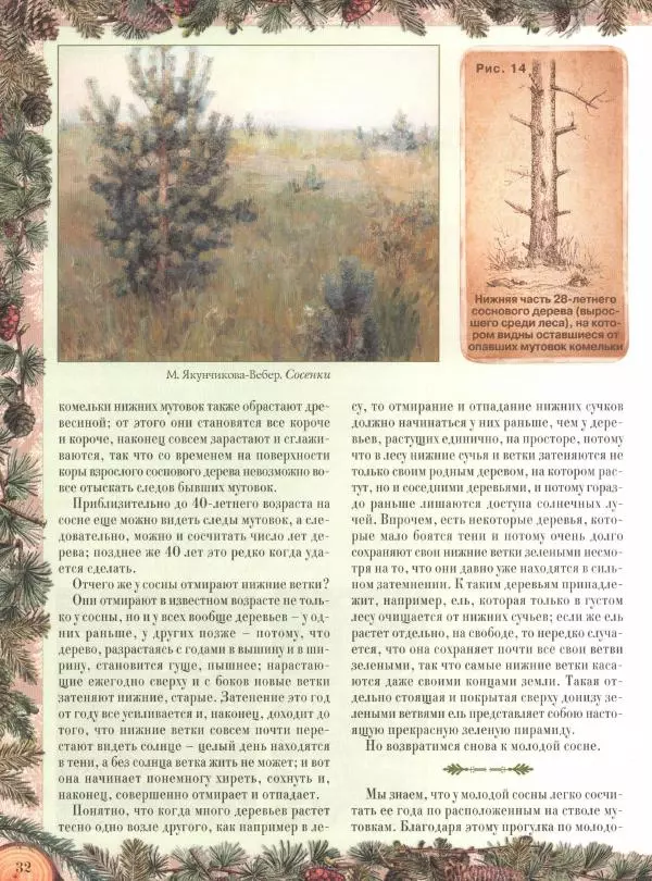 Дмитрий Кайгородов - Беседы о русском лесе - Страница № 32