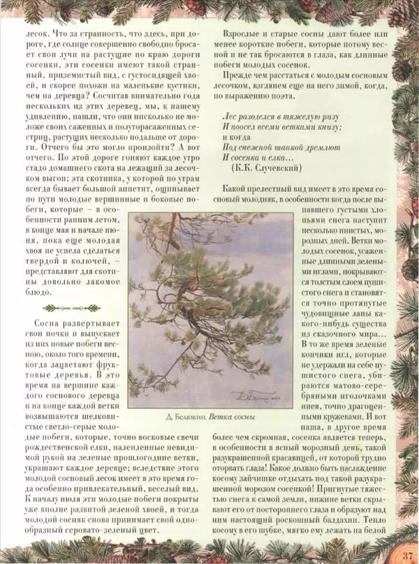 Дмитрий Кайгородов - Беседы о русском лесе - Страница № 37
