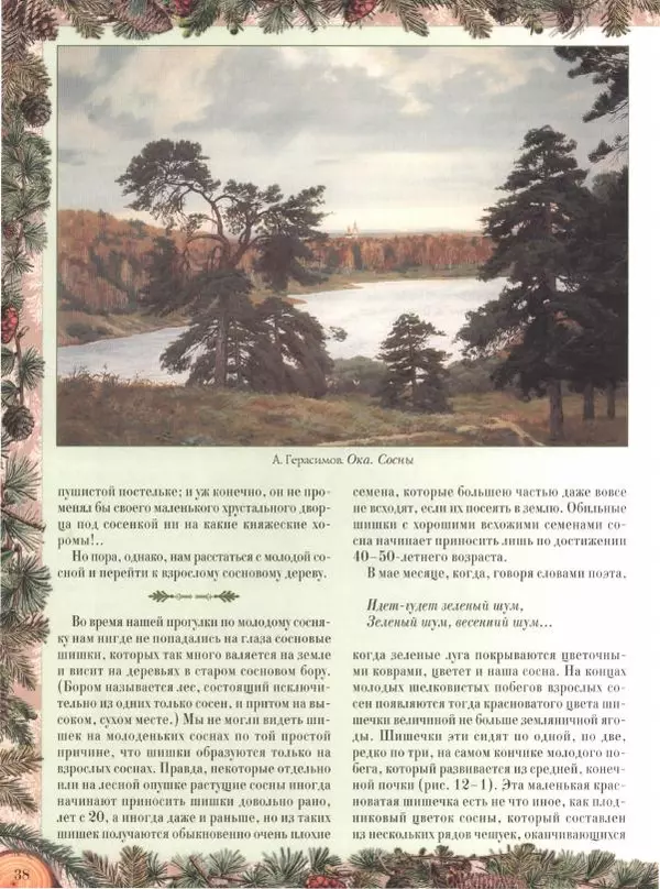 Дмитрий Кайгородов - Беседы о русском лесе - Страница № 38