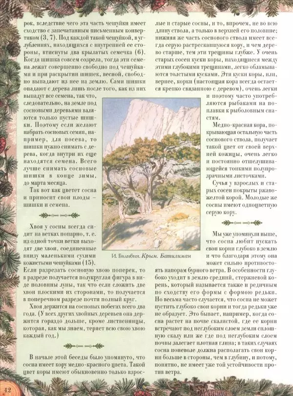 Дмитрий Кайгородов - Беседы о русском лесе - Страница № 42