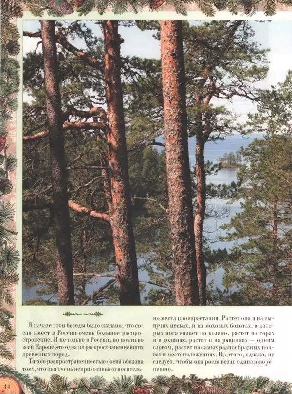 Дмитрий Кайгородов - Беседы о русском лесе - Страница № 44