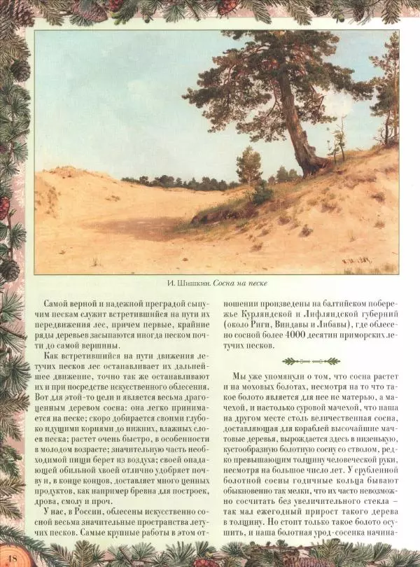 Дмитрий Кайгородов - Беседы о русском лесе - Страница № 48