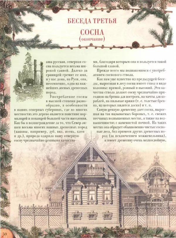 Дмитрий Кайгородов - Беседы о русском лесе - Страница № 50