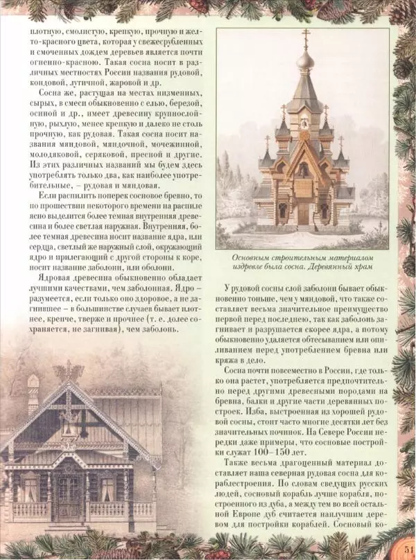 Дмитрий Кайгородов - Беседы о русском лесе - Страница № 51