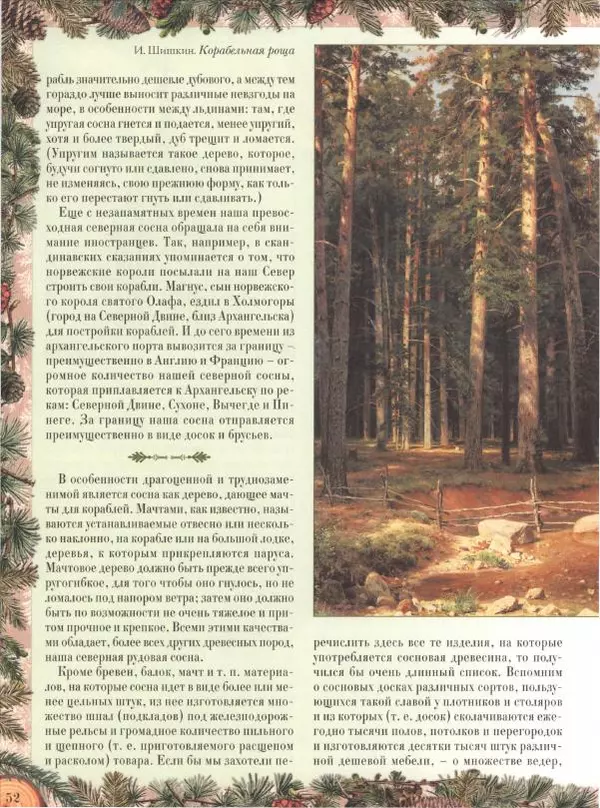 Дмитрий Кайгородов - Беседы о русском лесе - Страница № 52