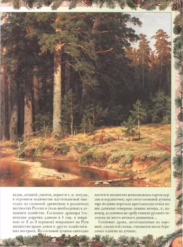 Дмитрий Кайгородов - Беседы о русском лесе - Страница № 53