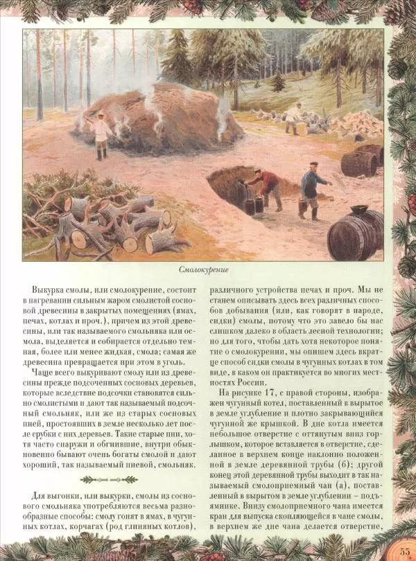 Дмитрий Кайгородов - Беседы о русском лесе - Страница № 55