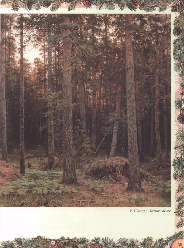 Дмитрий Кайгородов - Беседы о русском лесе - Страница № 59