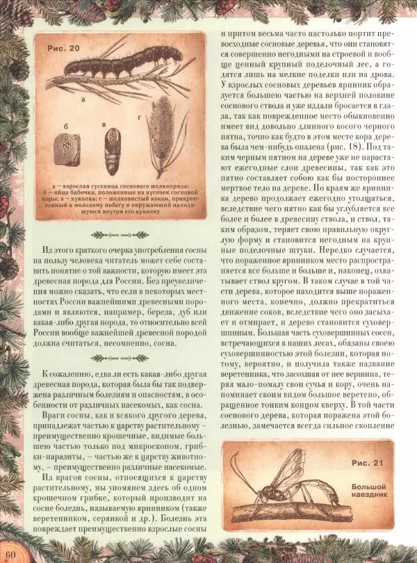 Дмитрий Кайгородов - Беседы о русском лесе - Страница № 60