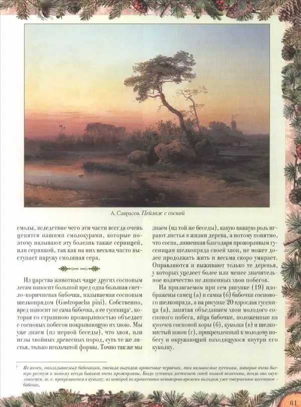 Дмитрий Кайгородов - Беседы о русском лесе - Страница № 61