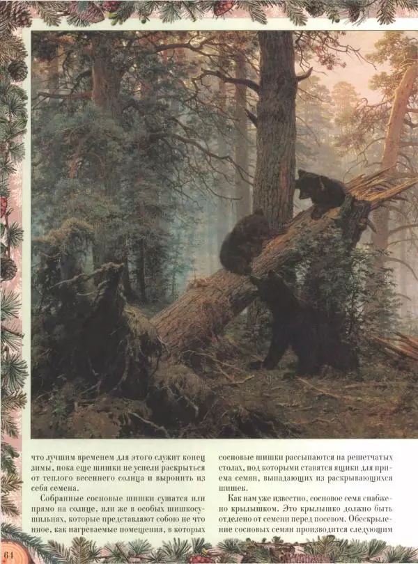 Дмитрий Кайгородов - Беседы о русском лесе - Страница № 64