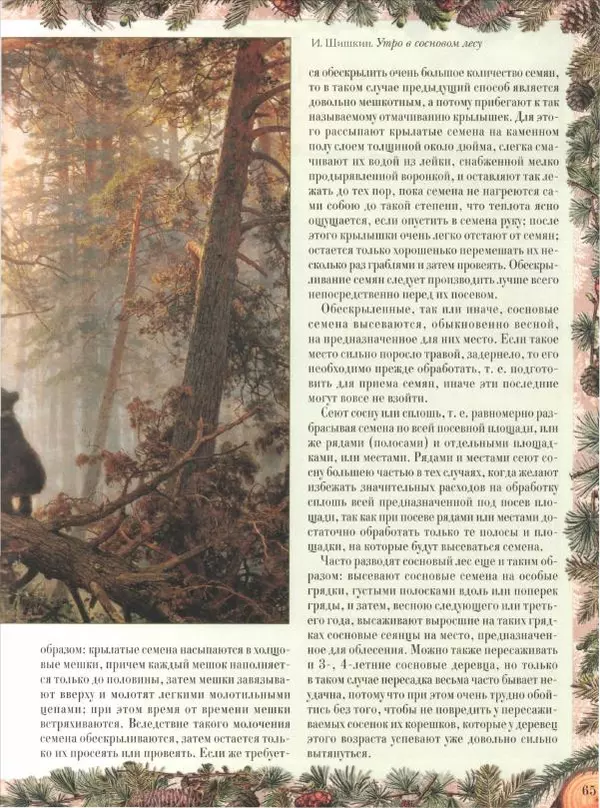 Дмитрий Кайгородов - Беседы о русском лесе - Страница № 65